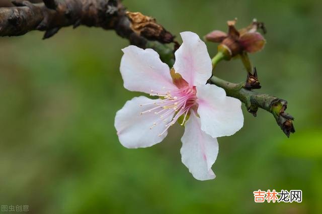 独生子女的父母 余生很贵，随心而活，随性而过，活出最真实的自己