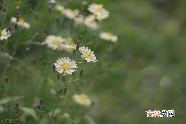 作家雪小禅说：“到了一定年纪 我们应该学会让自己狠心薄情一点，从而保全自己