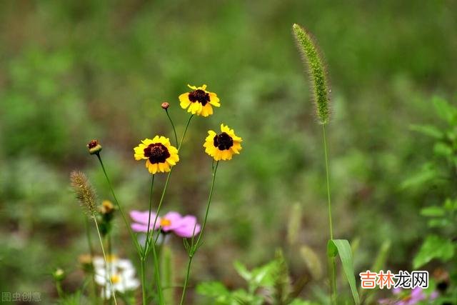 作家雪小禅说：“到了一定年纪 我们应该学会让自己狠心薄情一点，从而保全自己