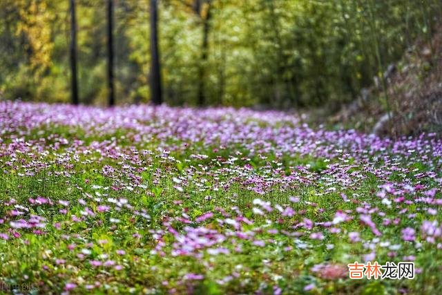 作家雪小禅说：“到了一定年纪 我们应该学会让自己狠心薄情一点，从而保全自己