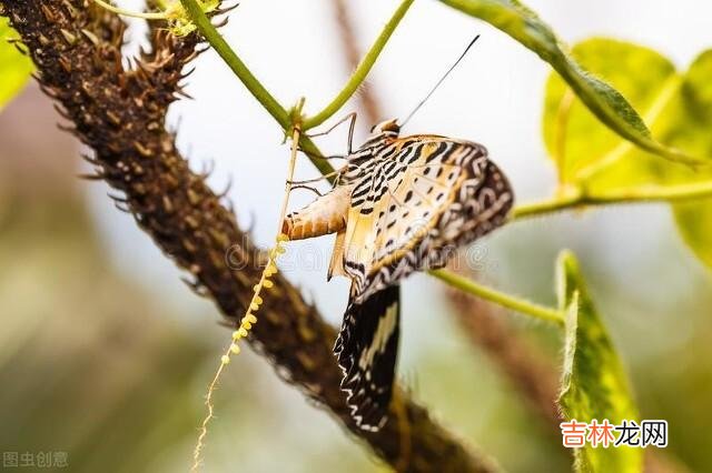儿子结婚后，为了不打扰儿子的新婚，我改行去做了住家保姆