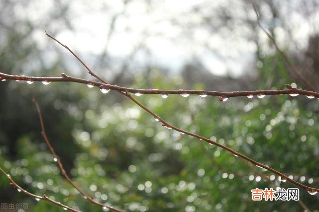 岁月悠悠光阴似箭 人老了,就不要轻易跟子女伸手要礼物了