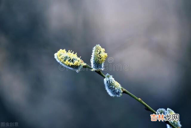 岁月悠悠光阴似箭 人老了,就不要轻易跟子女伸手要礼物了