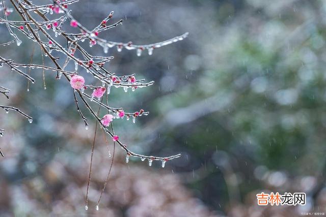 岁月悠悠光阴似箭 人老了,就不要轻易跟子女伸手要礼物了