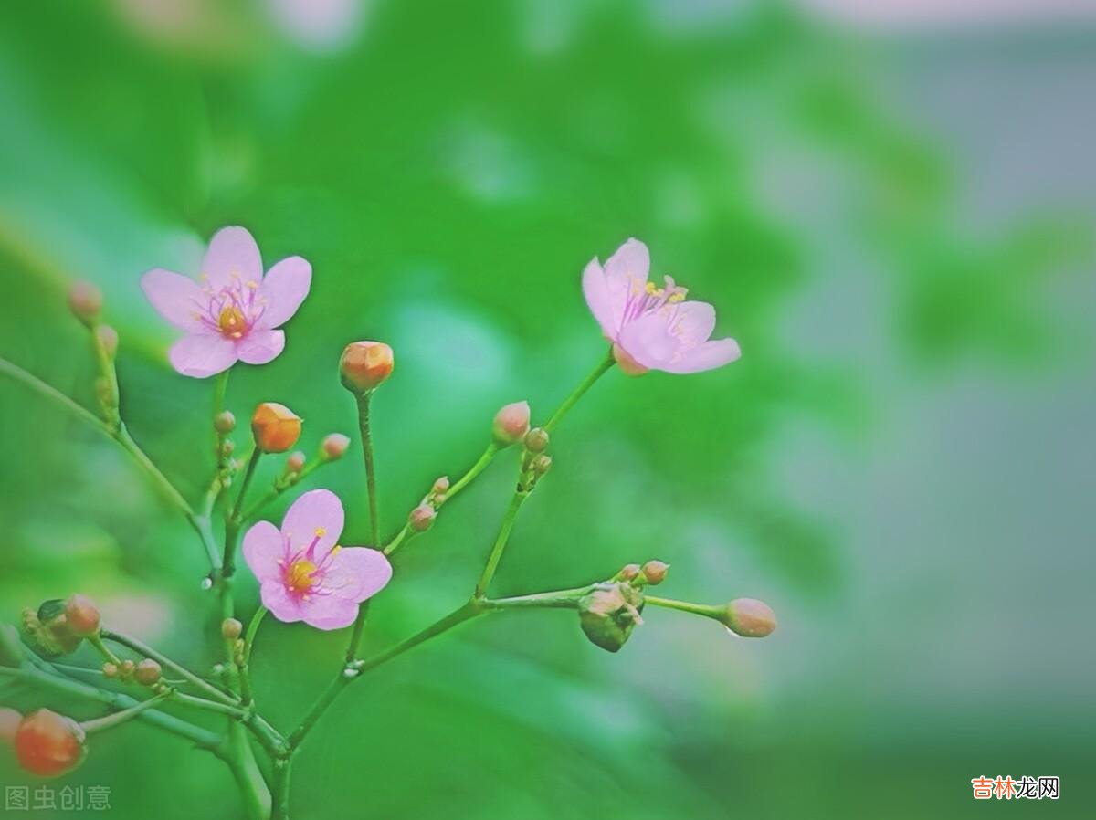 很喜欢股神巴菲特说过的一句话：“有一种投资好过其他所有的投资 退休后的我们，安静养心，投资心境，把自己活成老茶的模样