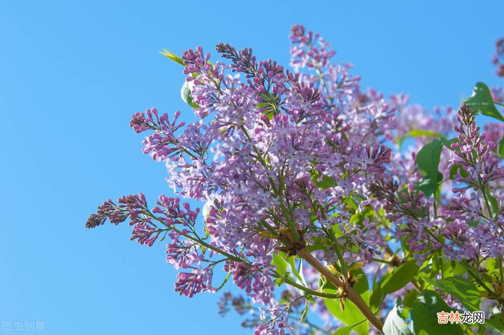 退休后的单身女人，是选择帮子女带娃，还是再找老伴过日子