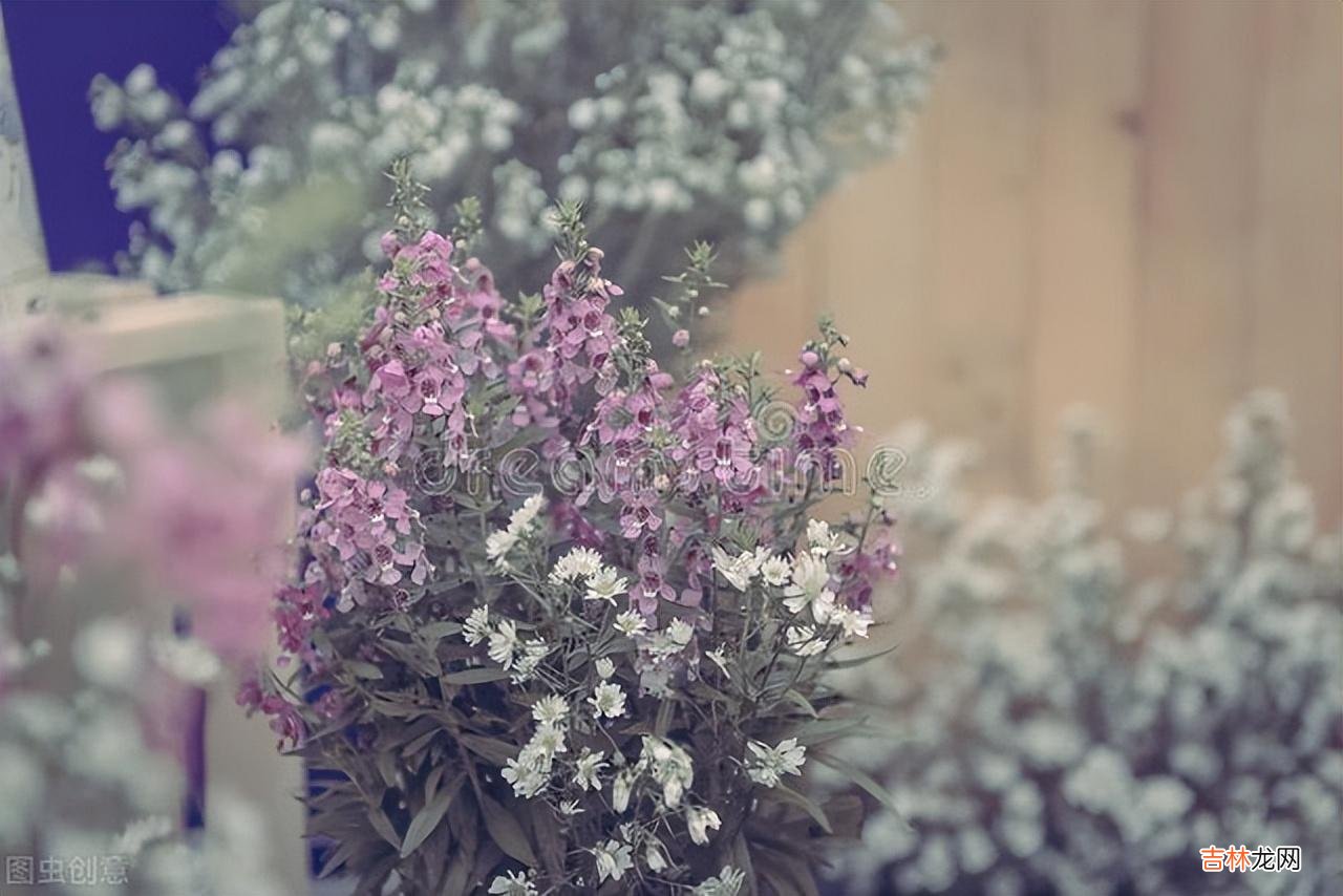 退休后的单身女人，是选择帮子女带娃，还是再找老伴过日子