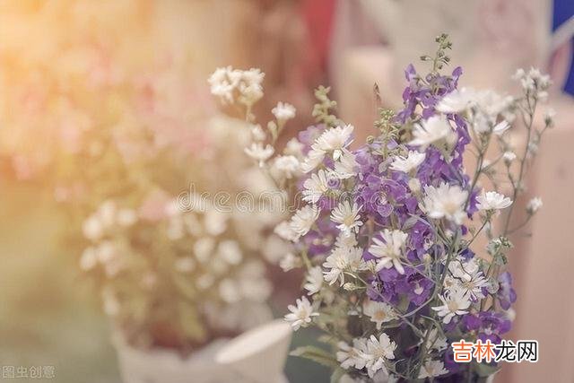 陈辉教授曾说过：“依靠父母的支持 自己的女儿自己心疼，帮忙带娃就是余生的修行