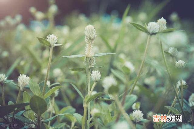 陈辉教授曾说过：“依靠父母的支持 自己的女儿自己心疼，帮忙带娃就是余生的修行