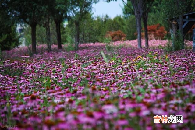 退休后的我们，需要修炼“开口有温度，闭口有尺度”