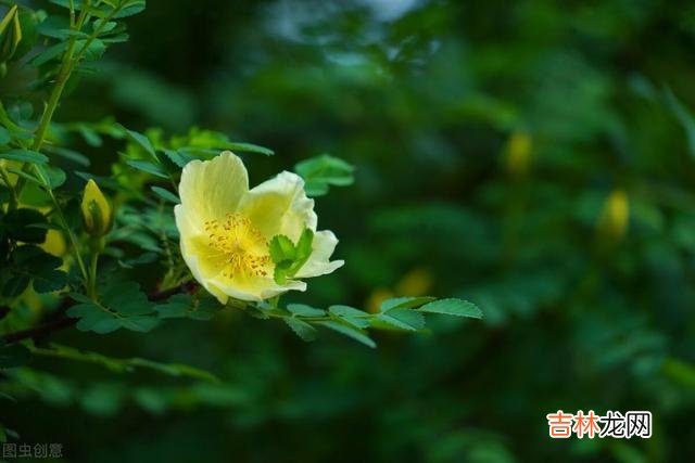 退休后的我们,不必刻意去讨好子女