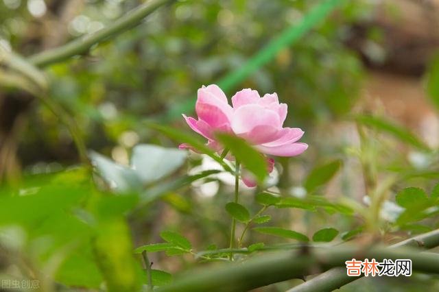 退休是职场人最好的休息时光 退休后,遇到这种喜欢搬弄是非的人,不要跟她在一起