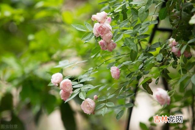 退休是职场人最好的休息时光 退休后,遇到这种喜欢搬弄是非的人,不要跟她在一起