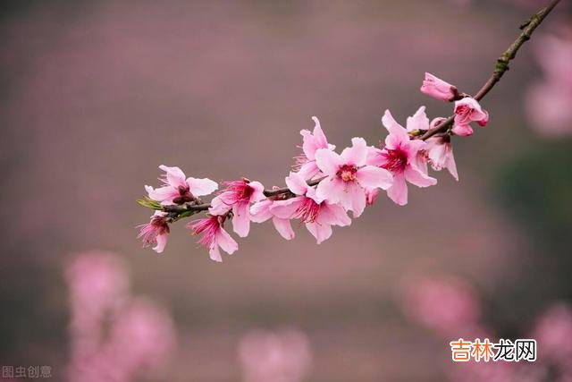 退休是我们人生的一道分水岭 退休后过得好的老人,大多数朋友少,所以他们的烦心事也少