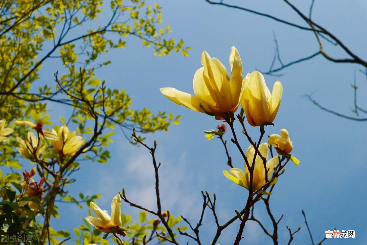 王尔德说：“在我年轻的时候 人老了，守好钱，就等于守好自己晚年的幸福