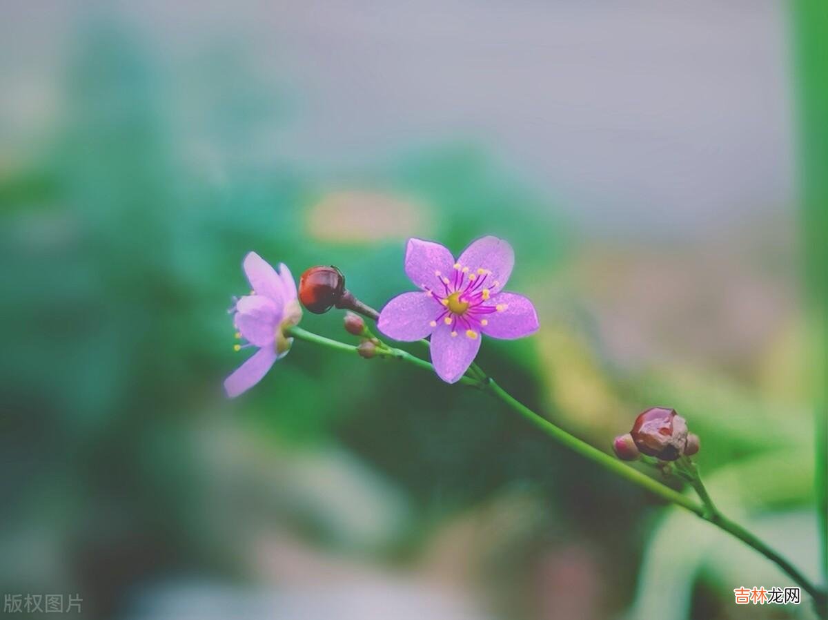 三毛说：“我来不及认真地年轻 退休后，以下这几种退休老人的行为是不被人欢迎了，