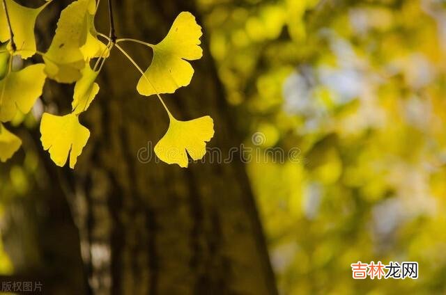 岁月绵长 婚姻只有走到了最后才会明白,谁才是真正过得幸福的人