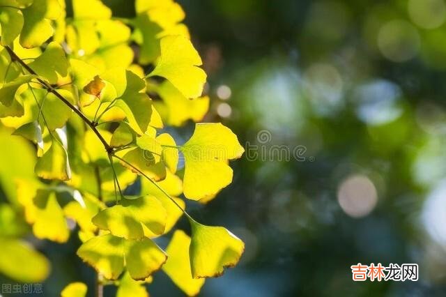 岁月绵长 婚姻只有走到了最后才会明白,谁才是真正过得幸福的人