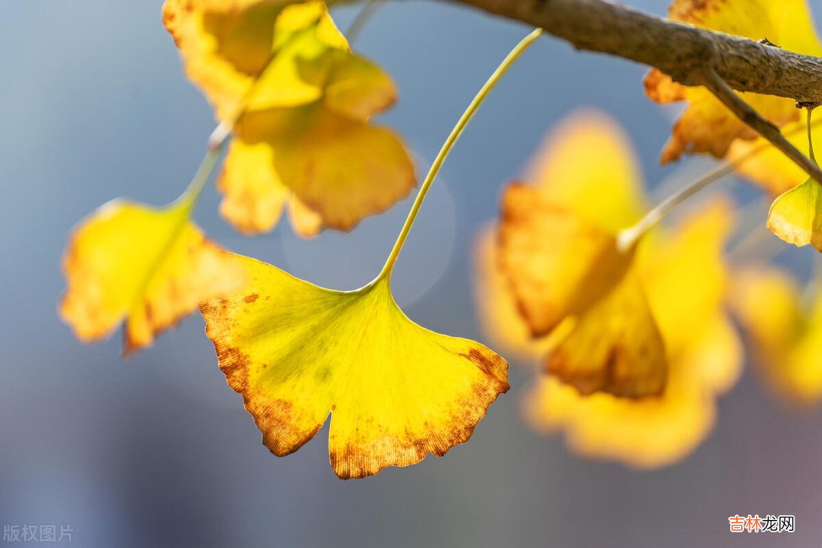 岁月绵长 婚姻只有走到了最后才会明白,谁才是真正过得幸福的人