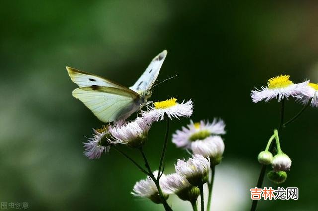 女人退休后 真正被自己富养的退休女人，内心是平和安宁的