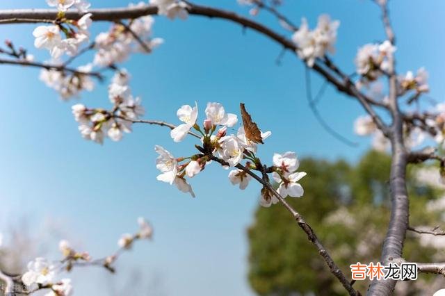 网络里很多人都羡慕如今生活里的退休老人 在众多退休老人光鲜亮丽的退休生活背后，都有些不为人知的心酸