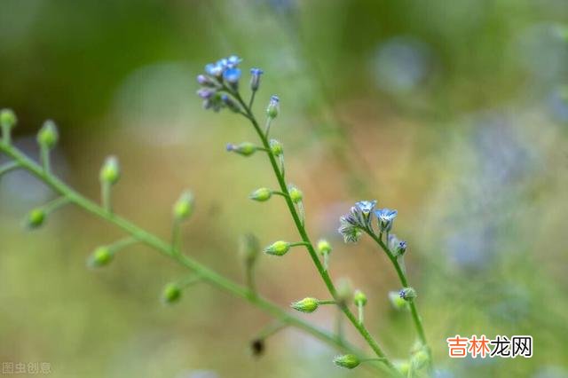 看了女贞老师《人的衰老 退休后投资自己的爱好，悦己是富养自己的根本