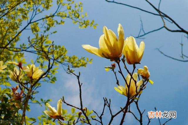 退休后，我们要学会甄别这样的“塑料友情”