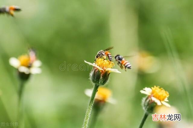 “人生如逆行 人到了晚年，最大的悲哀莫过于身边没有伴的日子