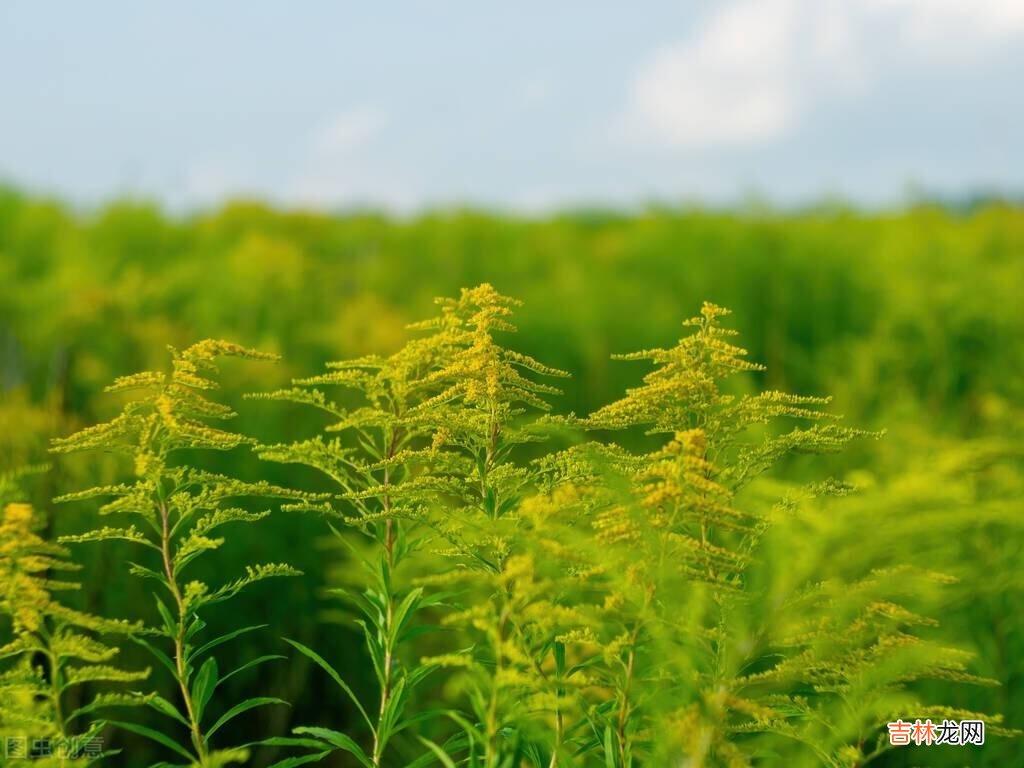 “人生如逆行 人到了晚年，最大的悲哀莫过于身边没有伴的日子