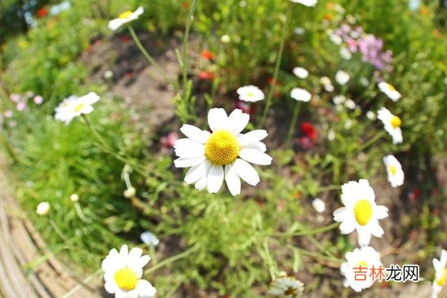 看到一段话：“挫折经历得太少 半生已过，要学会善待自己，保持沉默，不是接纳别人