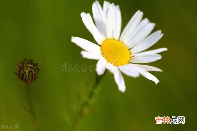 看到一段话：“挫折经历得太少 半生已过，要学会善待自己，保持沉默，不是接纳别人