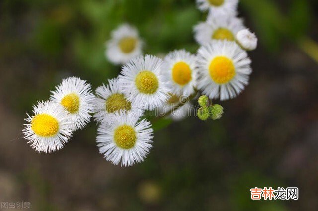 退休后的生活 最聪明的活法，无非是做到这三个“少”：少思虑，少生气，少欲望