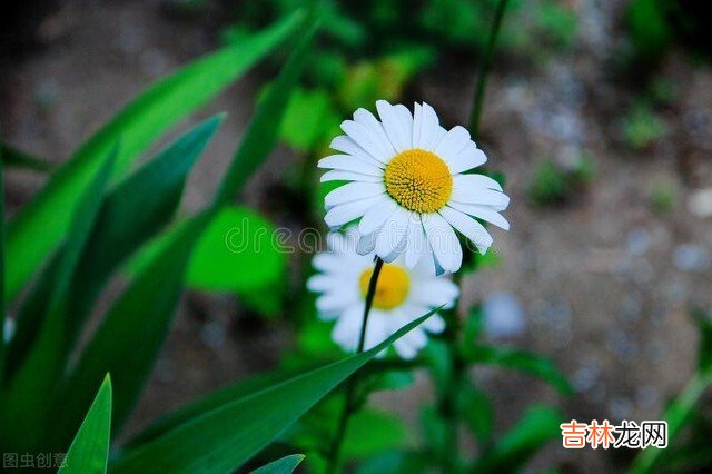 退休后的生活 最聪明的活法，无非是做到这三个“少”：少思虑，少生气，少欲望