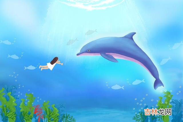 感情里 感情里，从联系就能看出一个人的真心