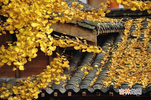 距离产生美 老了，夫妻间留些别有用心的“心眼”，往往不是坏事