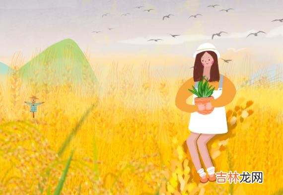 感情里 不谈钱的感觉，那真的很不真实，很容易散场