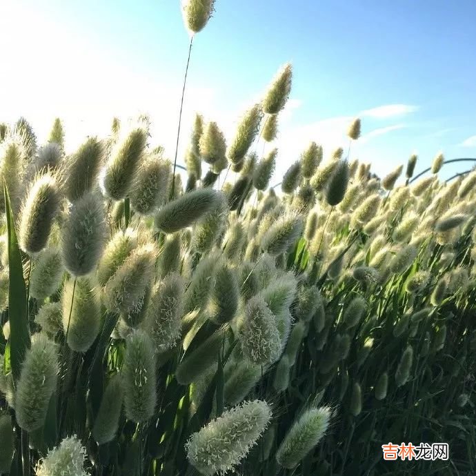 我给你最后的关心，就是不打扰