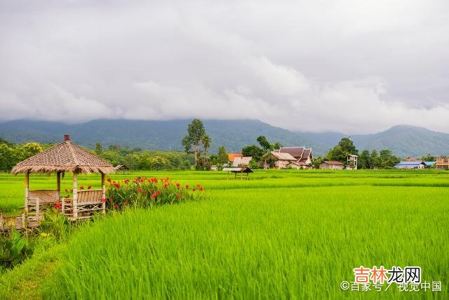 辛苦工作十几天汇总的报表 生活有苦和甜，多和甜在一起，才能战胜更多的苦