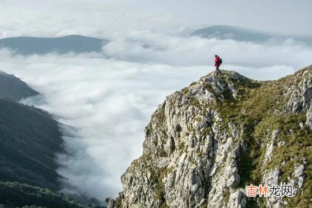 麻雀凤凰不同枝 和谁在一起，决定你一生的命运