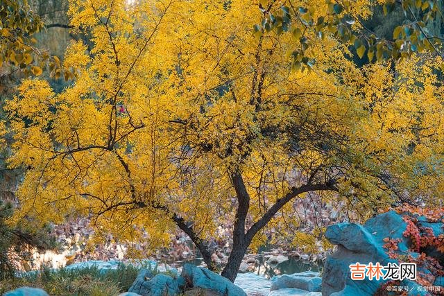 每个人都有自己的骄傲 别让一时的小倔强、小情绪毁了你原本甜蜜的关系