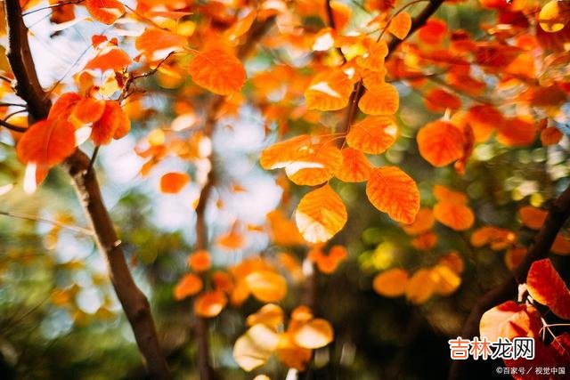 每个人都有自己的骄傲 别让一时的小倔强、小情绪毁了你原本甜蜜的关系