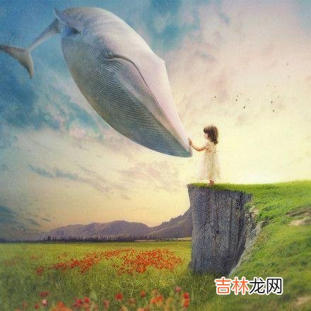 “梧高凤必至 优秀的人，身边很少负面情绪的人，都是有很强行动力的正能量人群
