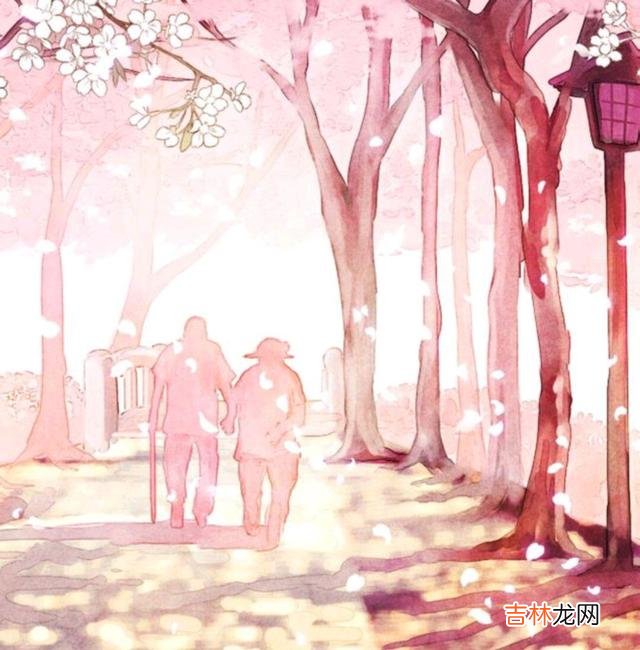 苏芩：你看到了我的光鲜 一个女人，如果连对自己都不好，怎么能指望别人对你好呢？