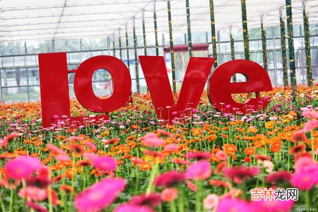 01李艺爱上刘海儿是因为一场英雄救美。|女人，只有当你爱自己时，周围的一切人事物都是美好的