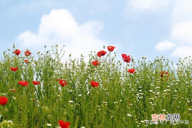 感情中 爱情中，比断联更有效的办法：暂停键