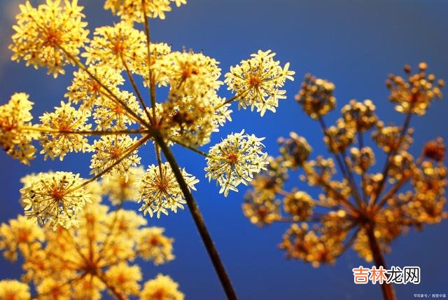 感情中 爱情中，比断联更有效的办法：暂停键