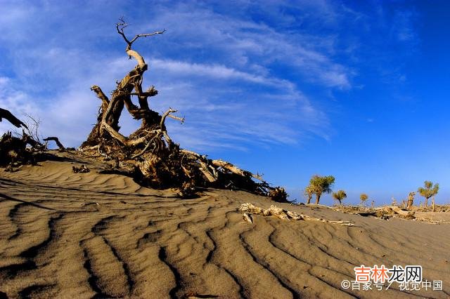 偶尔的打击和批评,这也是爱的一种,侧面透露着对你的了解和熟悉