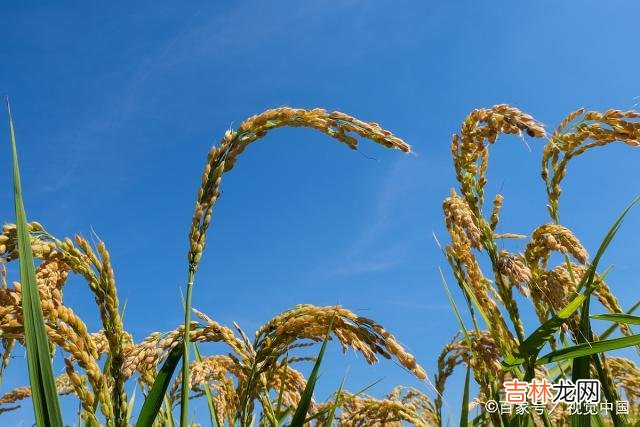 悄悄喜欢的男人，在称呼上也会有些特点，希望你能接住