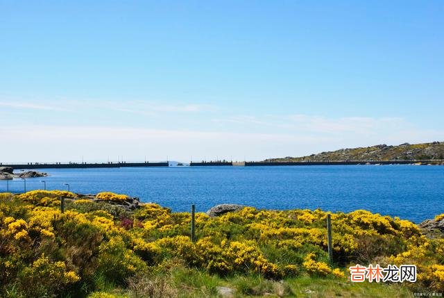 寂寞 心底里的感情还温热着,微信头像也会随之更换和变化