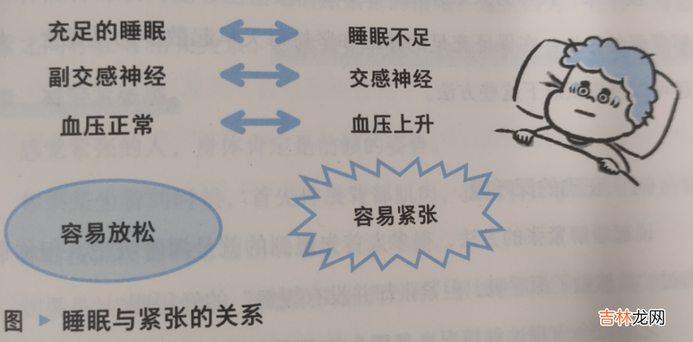 《人生烦恼咨询室》：在快节奏时代，做游刃有余的人生赢家